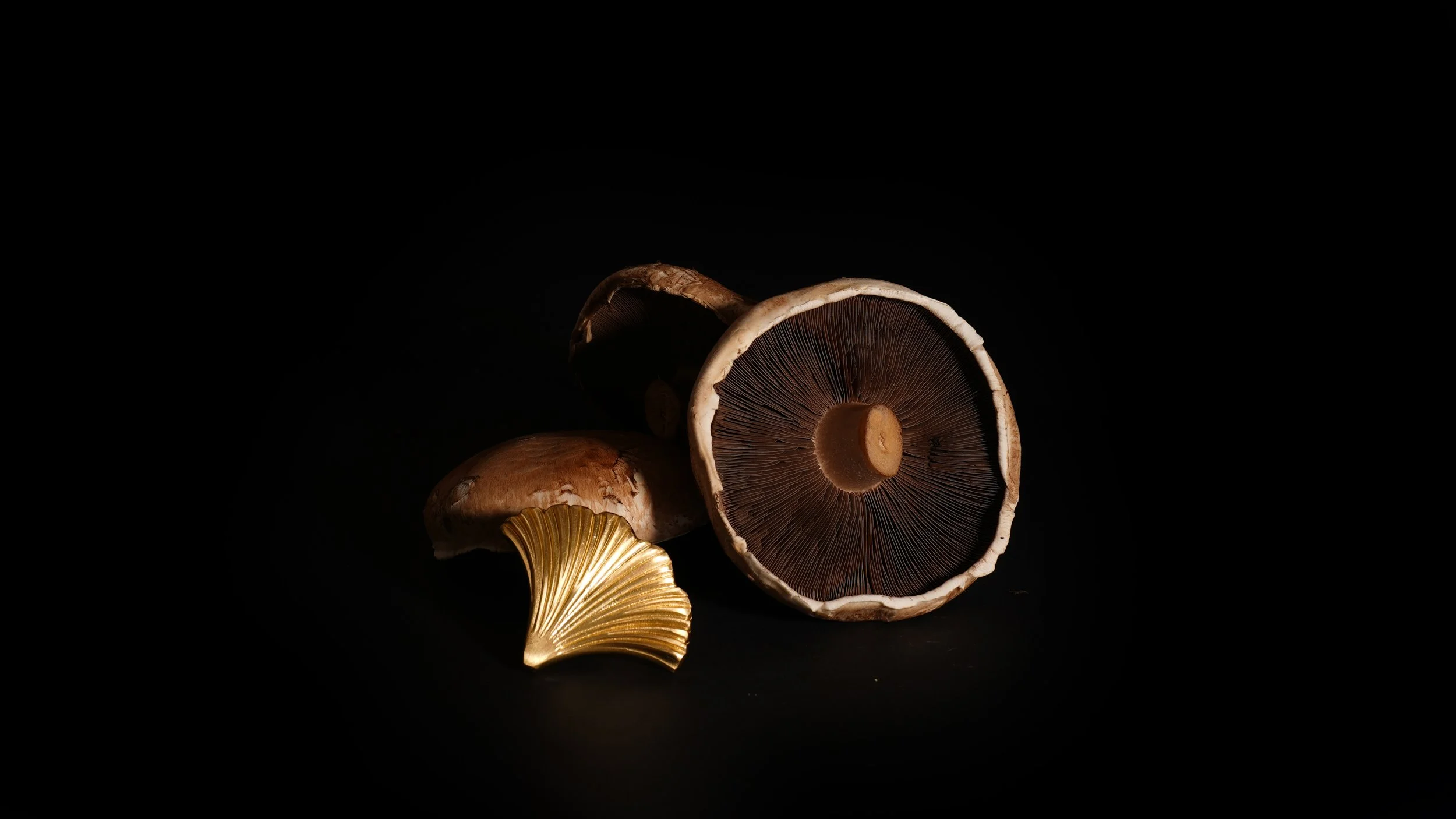 Valentina_1 copy.jpg