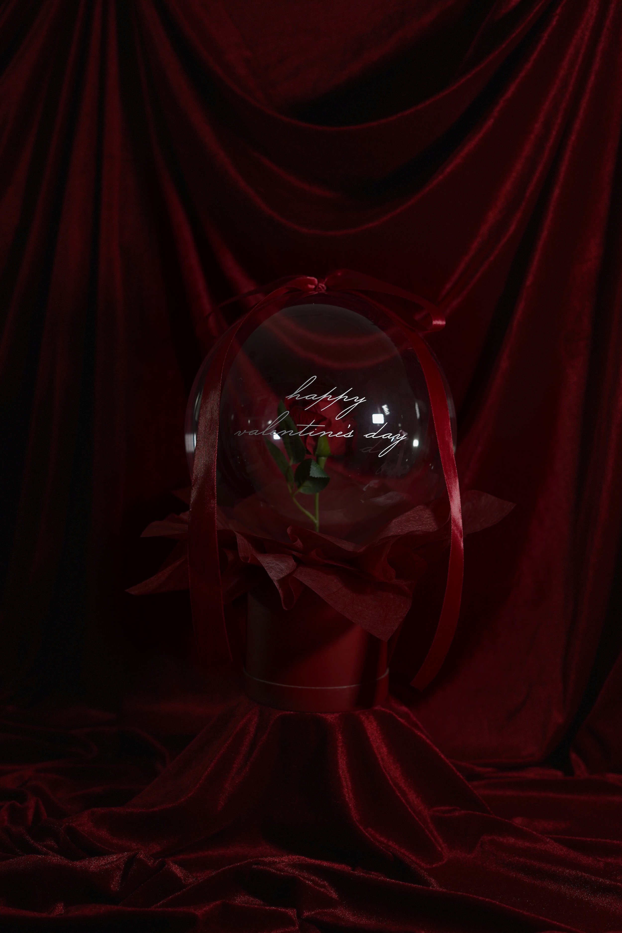 Valentines Day Red_Rose.jpg