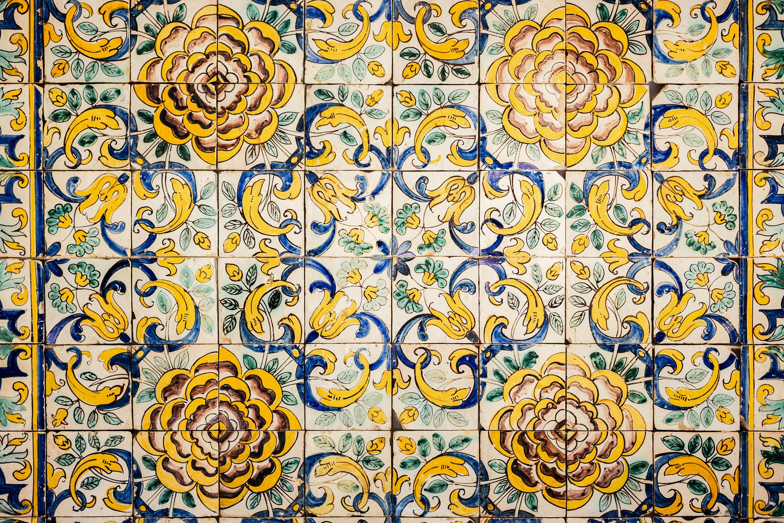 dario-gomes-GhO2feHRWYk-unsplash.jpeg