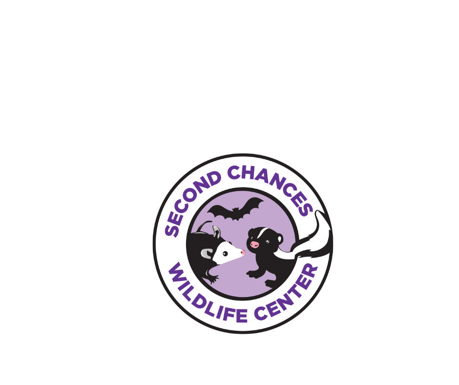 Fundraising &amp; Development Manager - Second Chances Wildlife Center