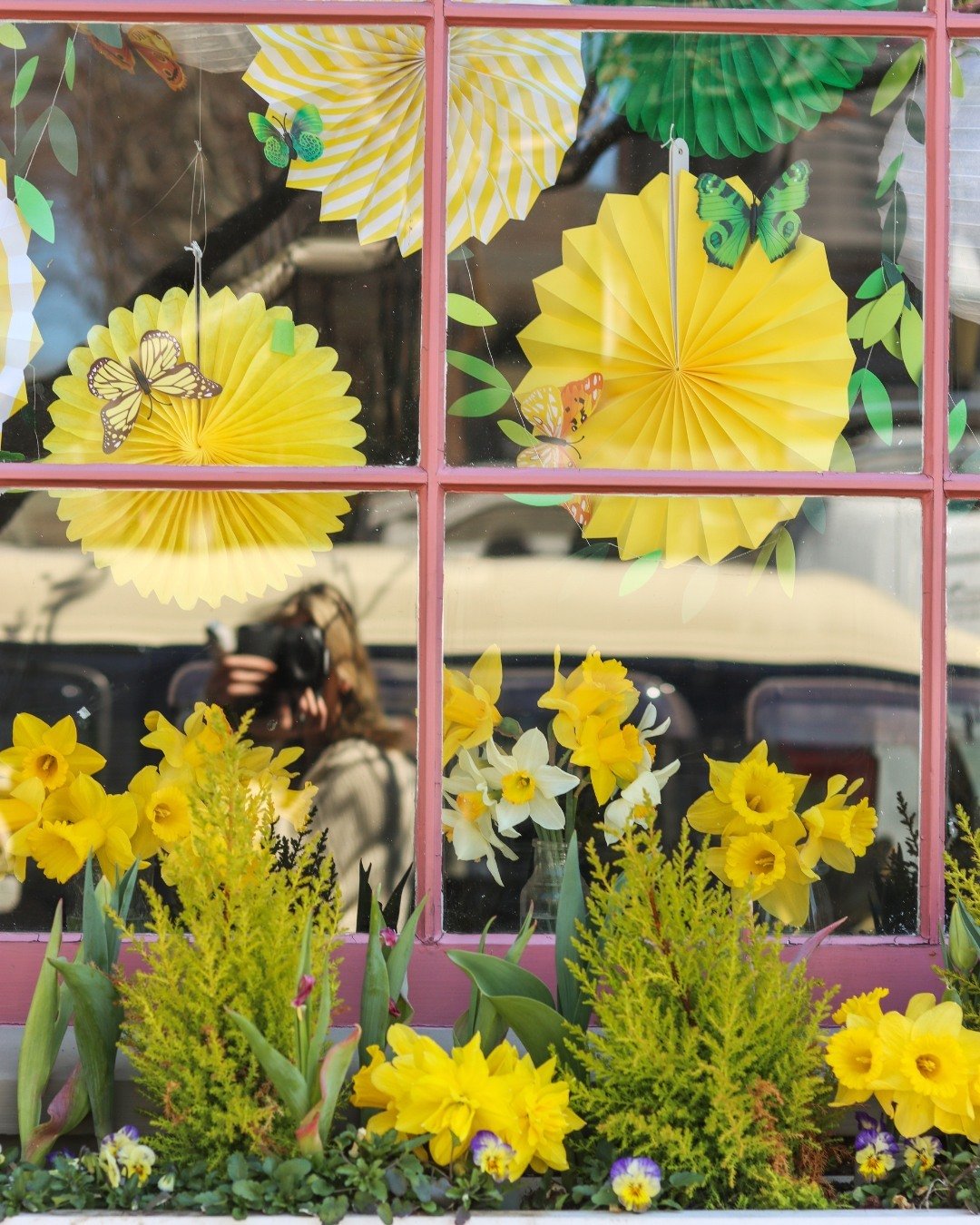 Happy Daffy, Nantucket! 🌼 We can't wait to spend the whole weekend celebrating the start of the busy season. Will we see you there? 👀✨