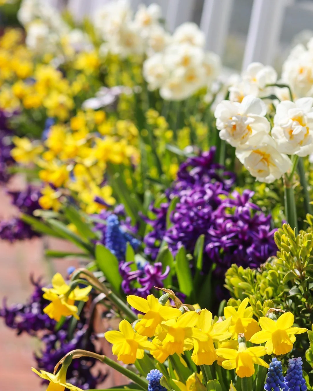 The first day of spring is finally here ✨🤗

Our team is OVER-JOYED for what spring holds for us 💙 Trips, launches, warm weather, dog walks, projects, pilates, content creation in the SUN, and so much more. 

What are you looking forward to most thi