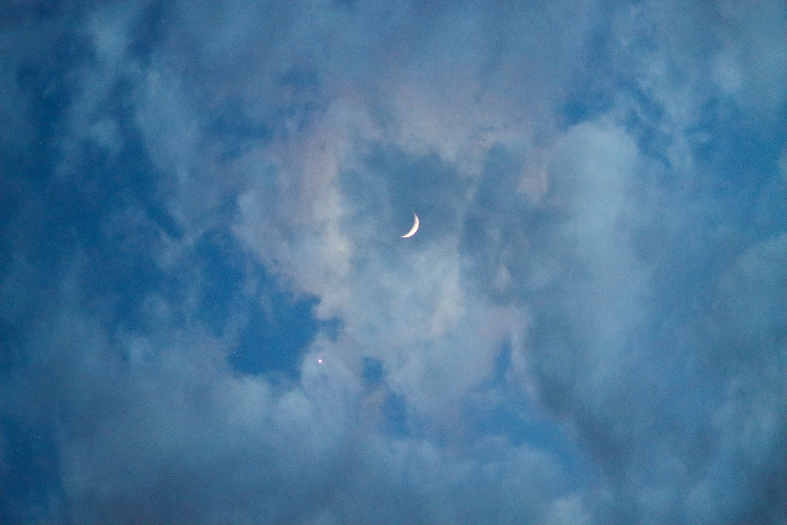 March Moon-05.jpg