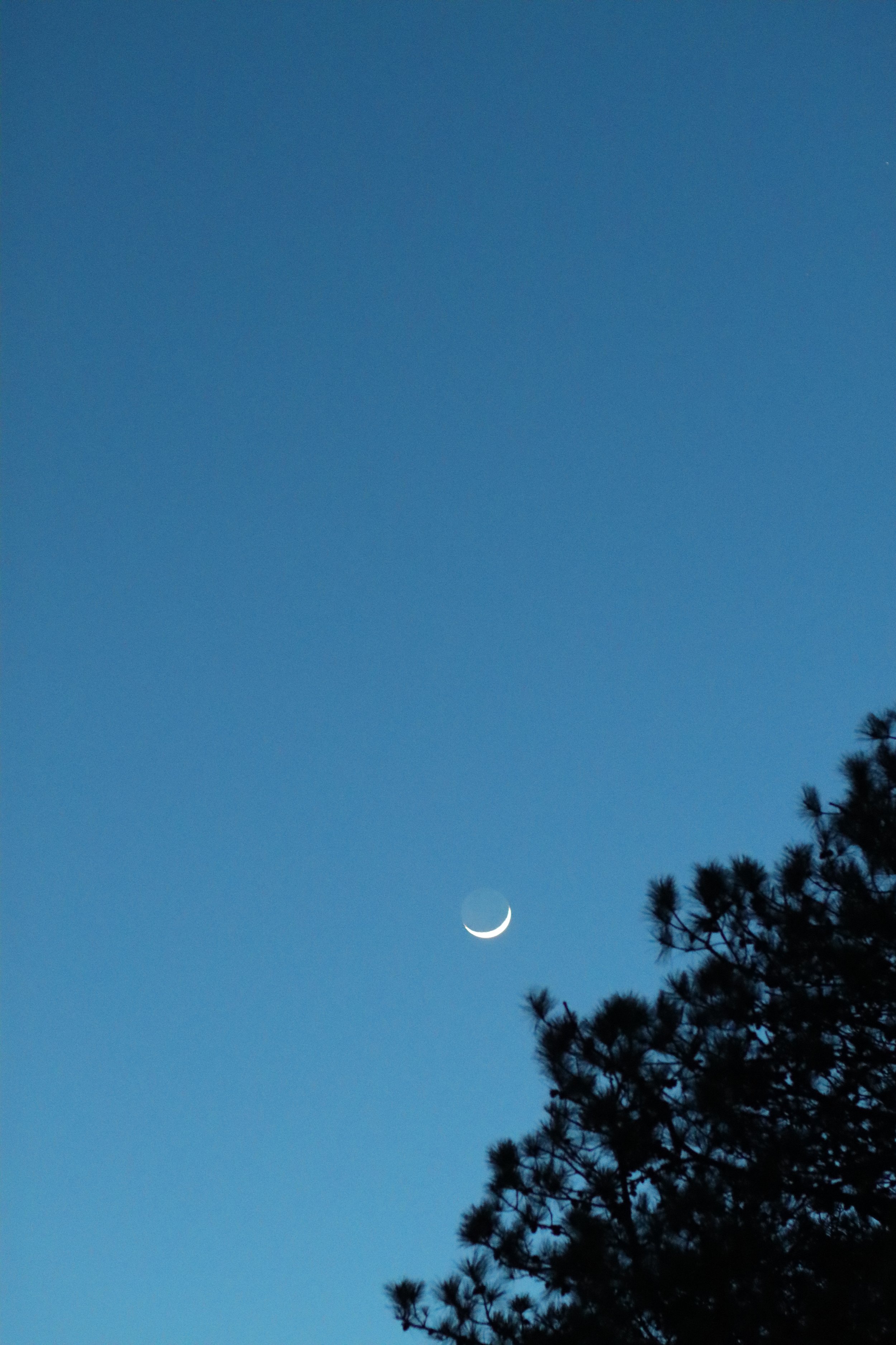 March Moon-11.jpg