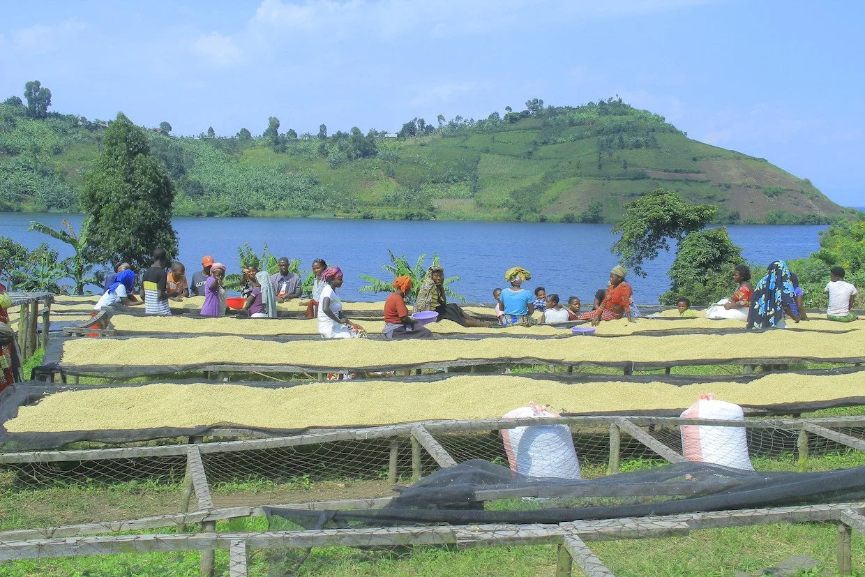 Best of Congo Cooperatives 2nd Edition 2025