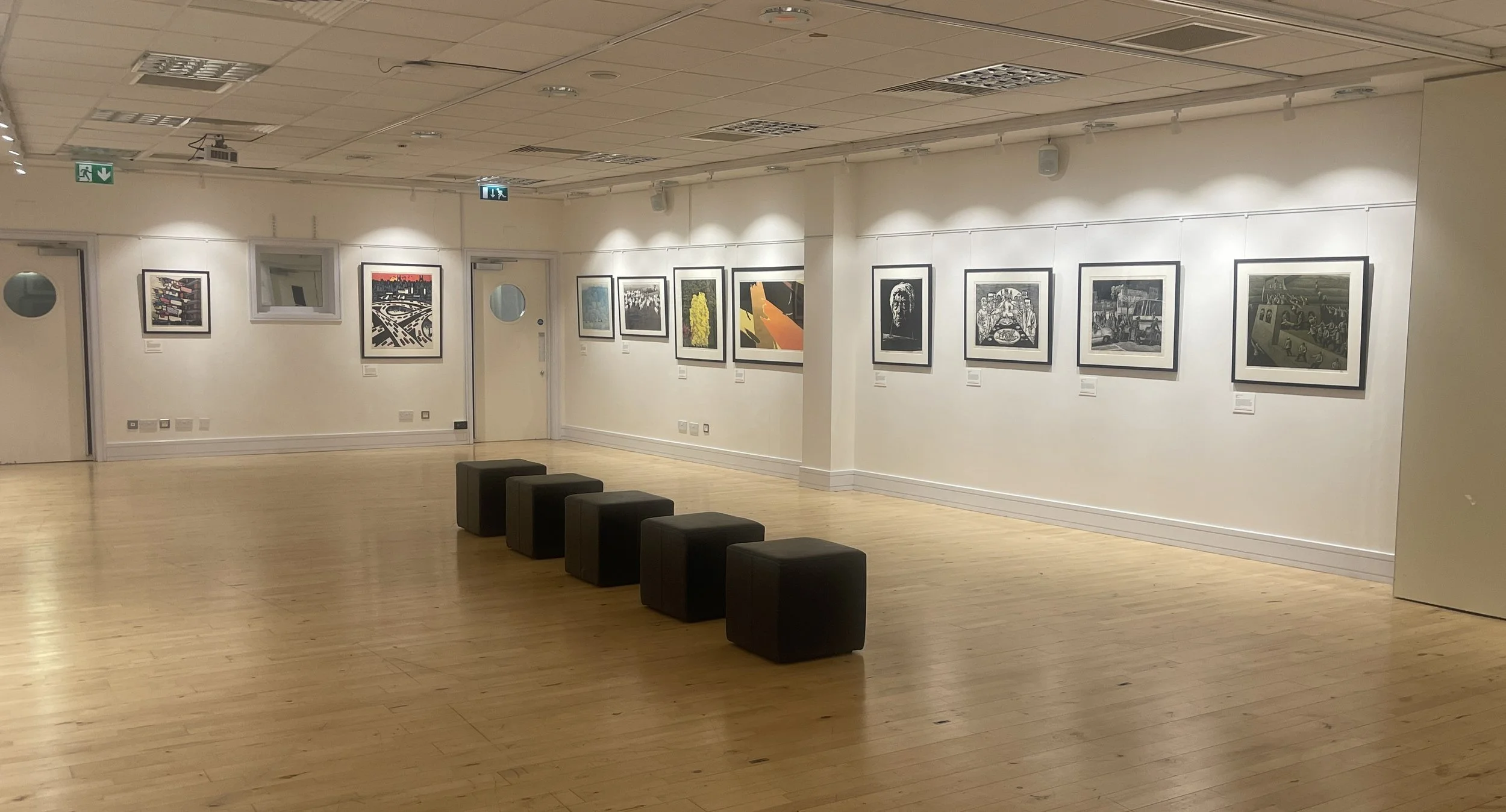 REVOLUTION, PROPOGANDA, ART: PRINTMAKING IN MODERN China