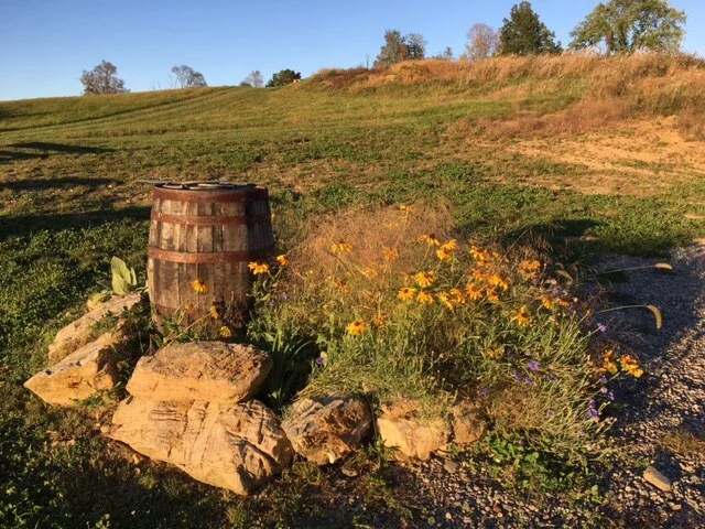 Barrel&flowers.jpeg