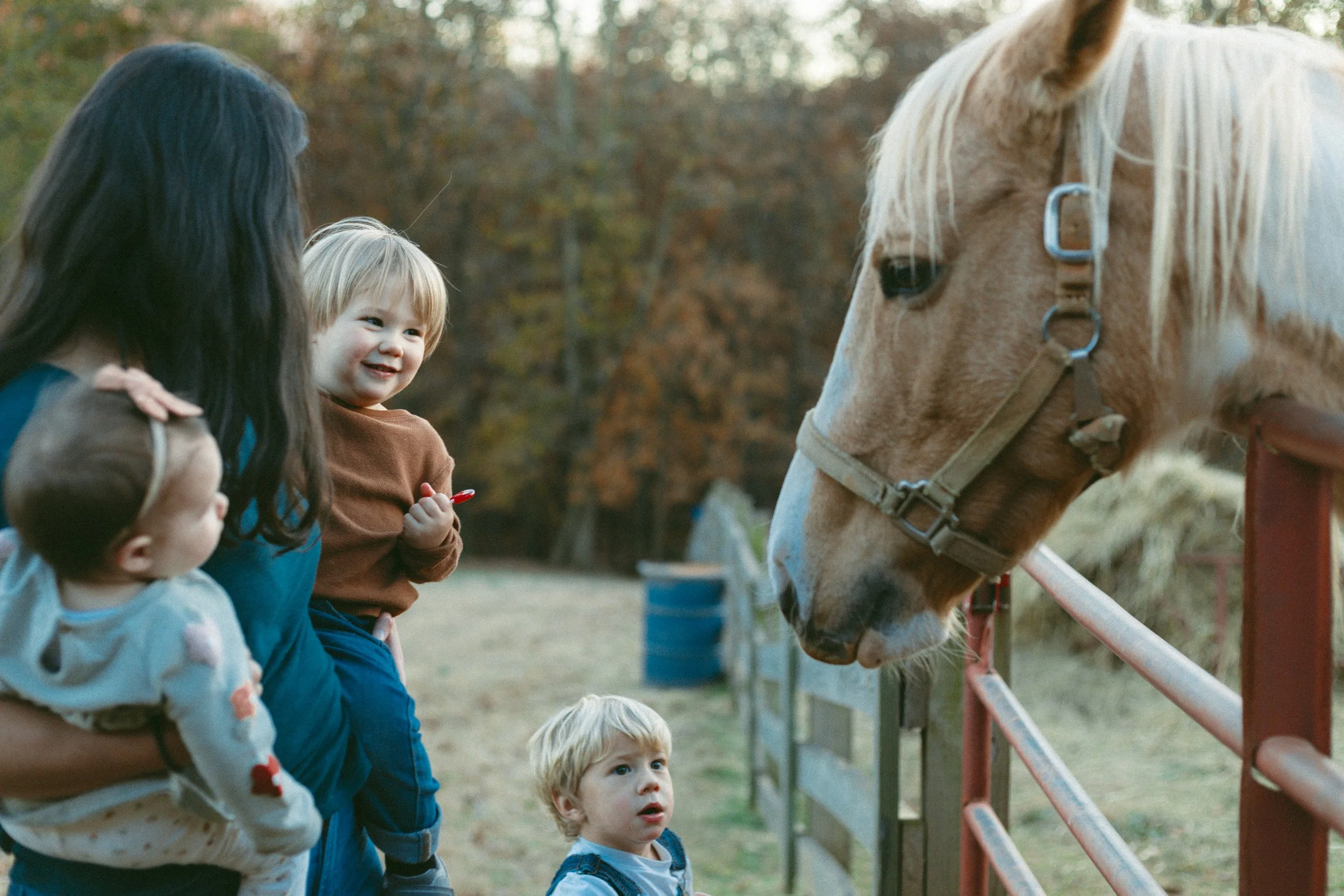 A woman holds a young child on her hip, smiling at a horse behind a fence. Two other children stand nearby, looking at the horse with curiosity. The scene takes place outdoors in a rural setting with trees in the background.