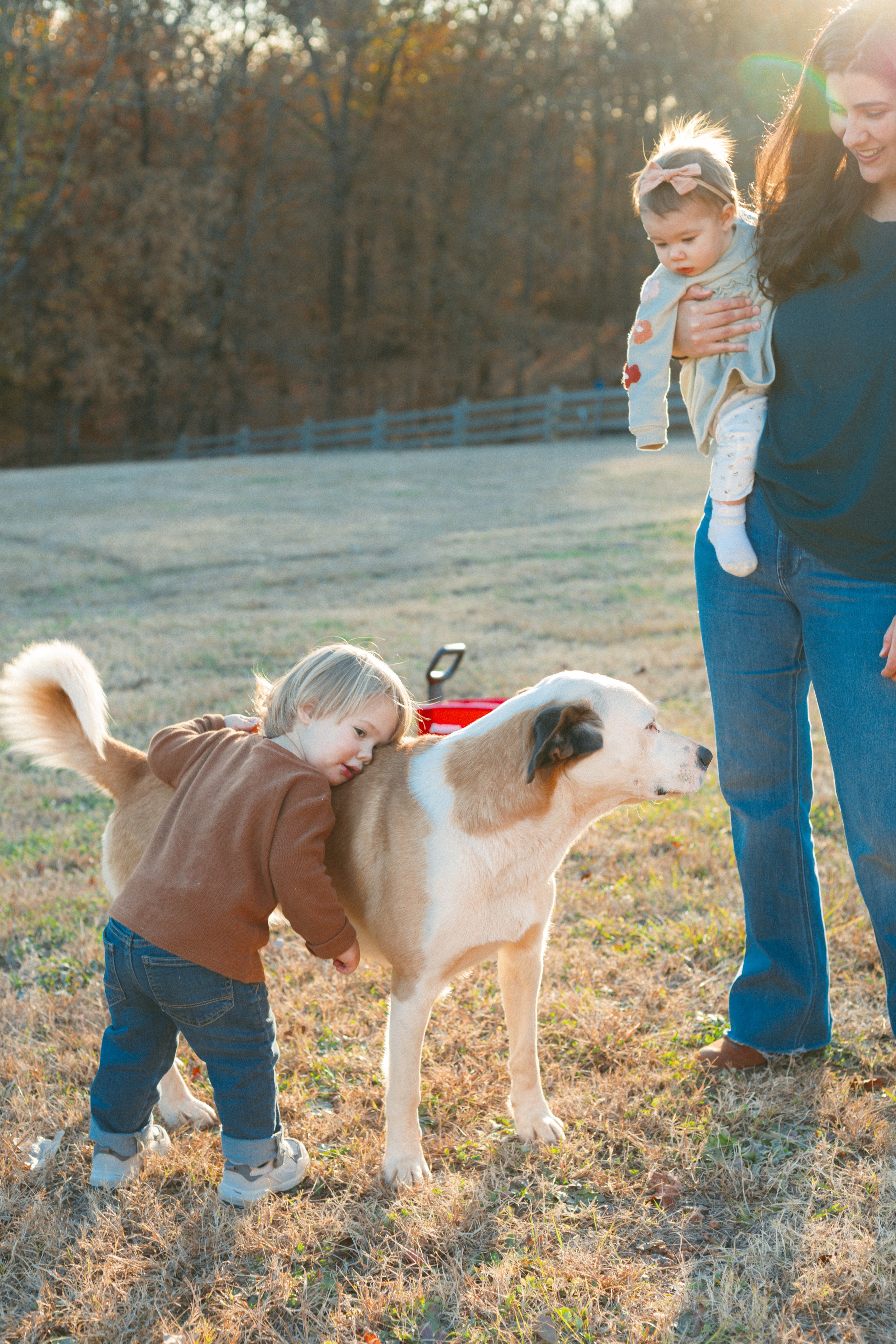 A woman holding a child outside with a dog and a young boy. The boy is petting the dog, and the woman is holding the child. The scene is set in a grassy area with trees and a fence in the background, during sunset.