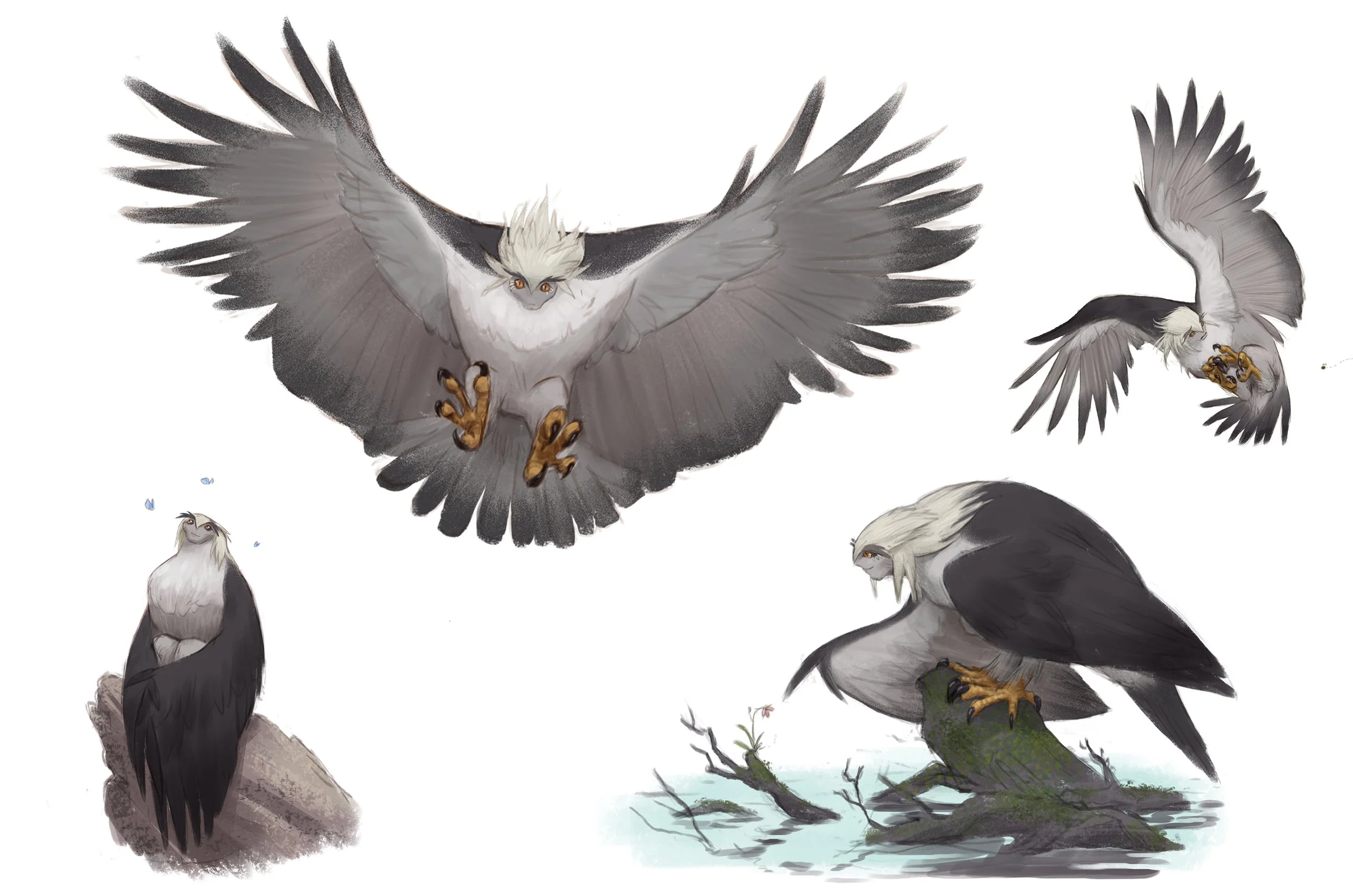 harpy_web3.jpg