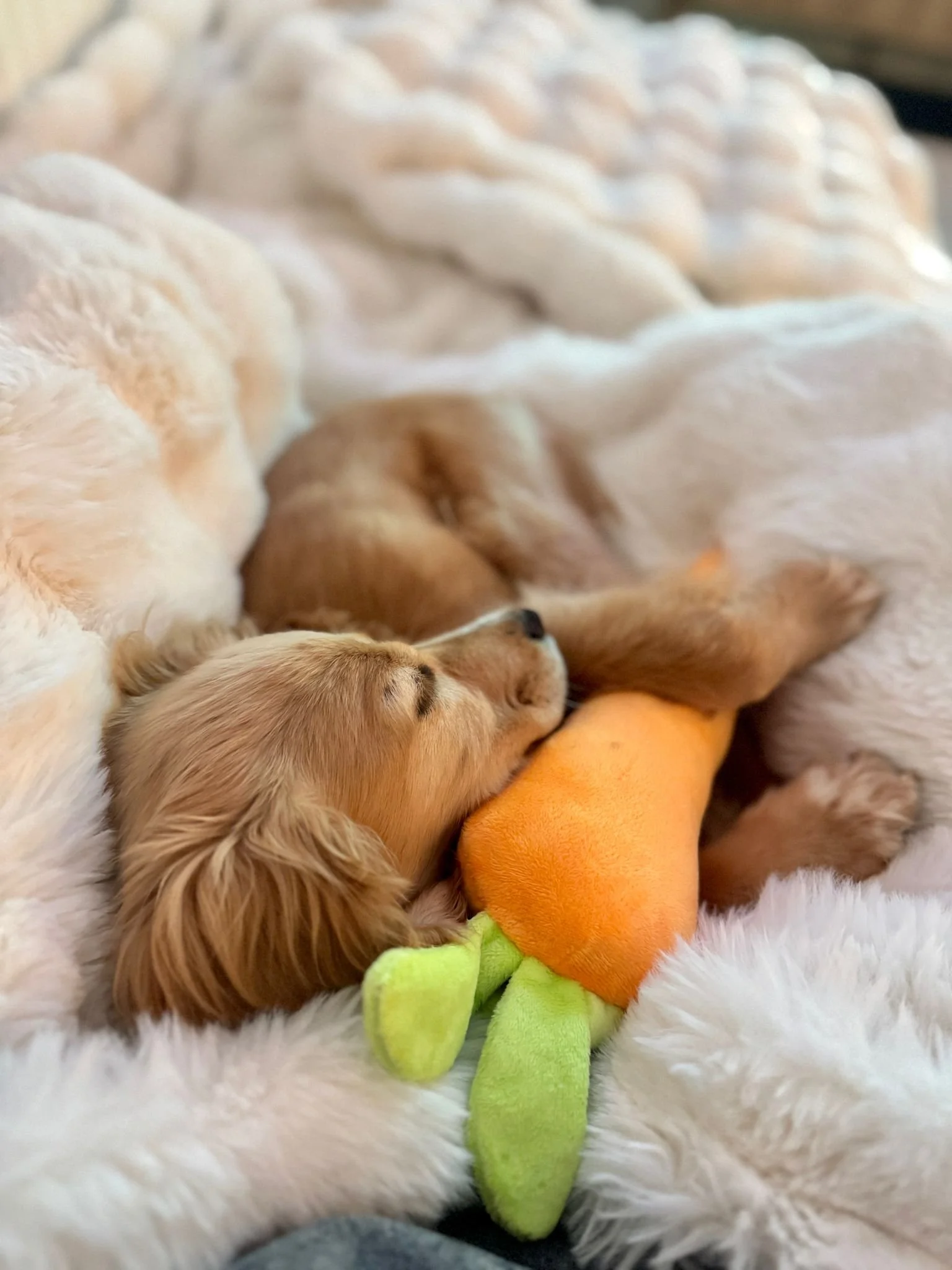 WhatsApp Image 2026-03-23 at 17.33.16.jpeg