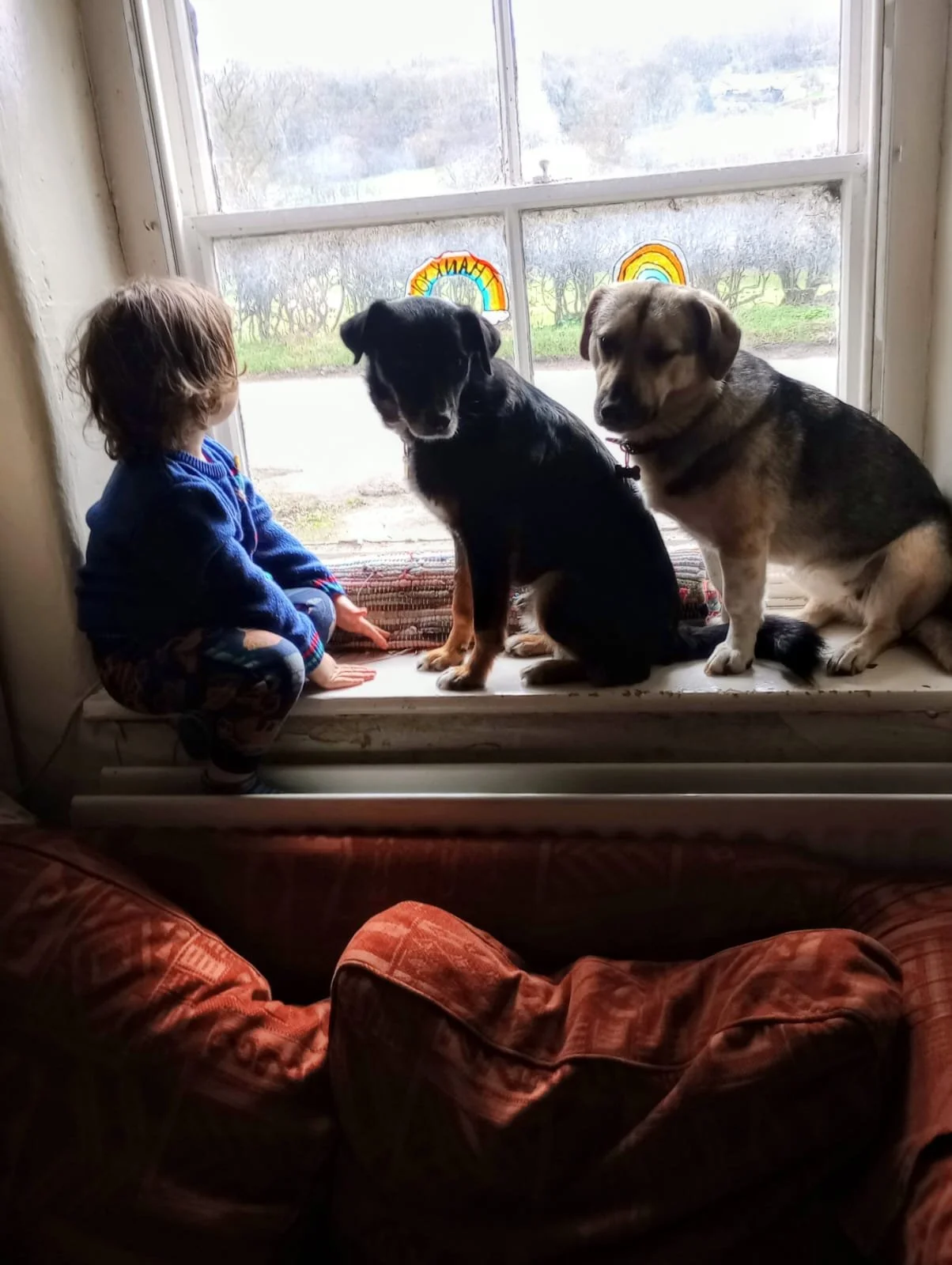 WhatsApp Image 2026-02-25 at 12.49.23.jpeg