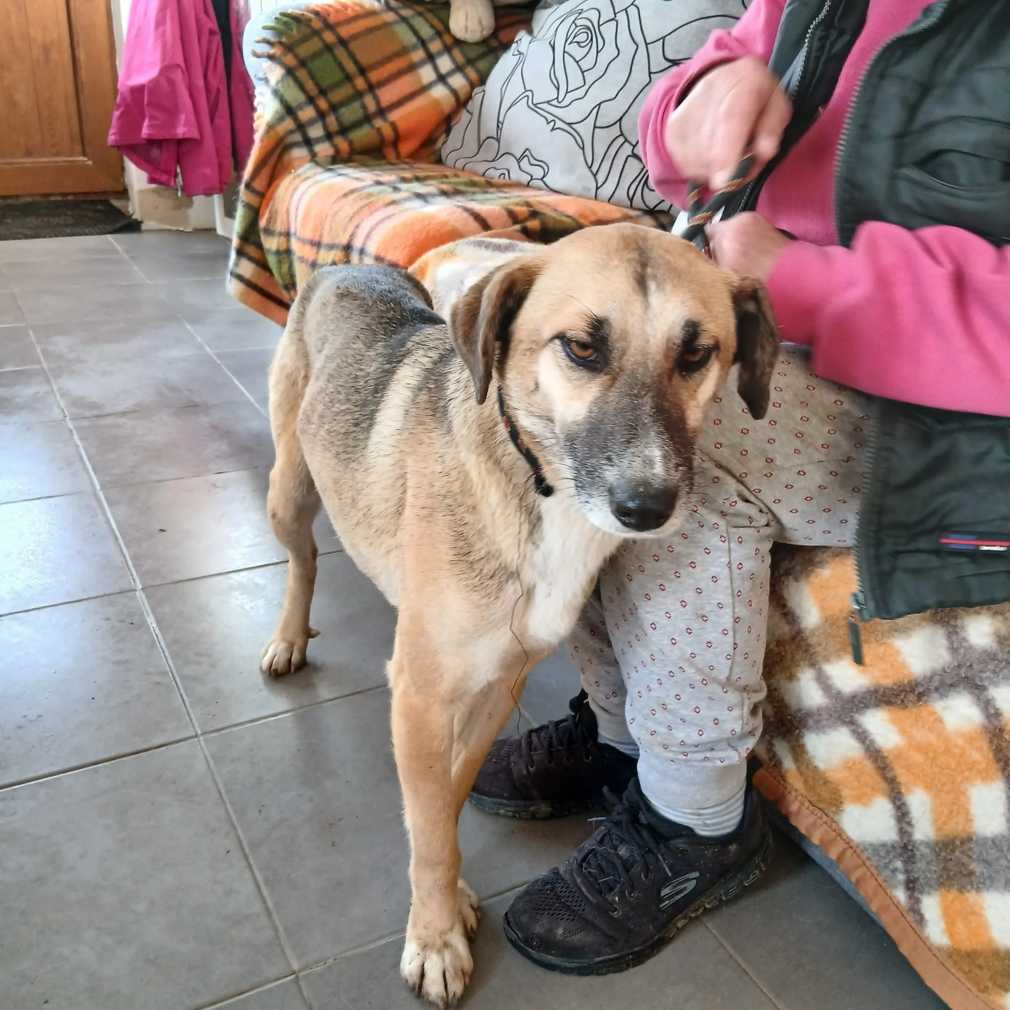 WhatsApp Image 2026-01-23 at 20.58.36 (1).jpeg