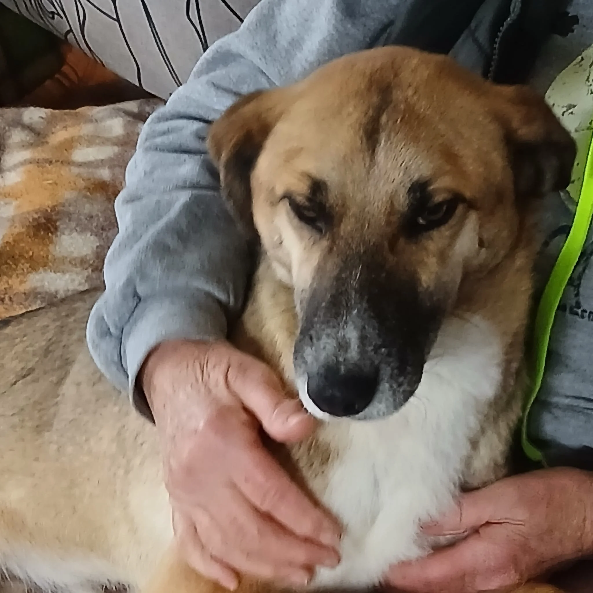 WhatsApp Image 2026-02-18 at 19.54.51 (3).jpeg