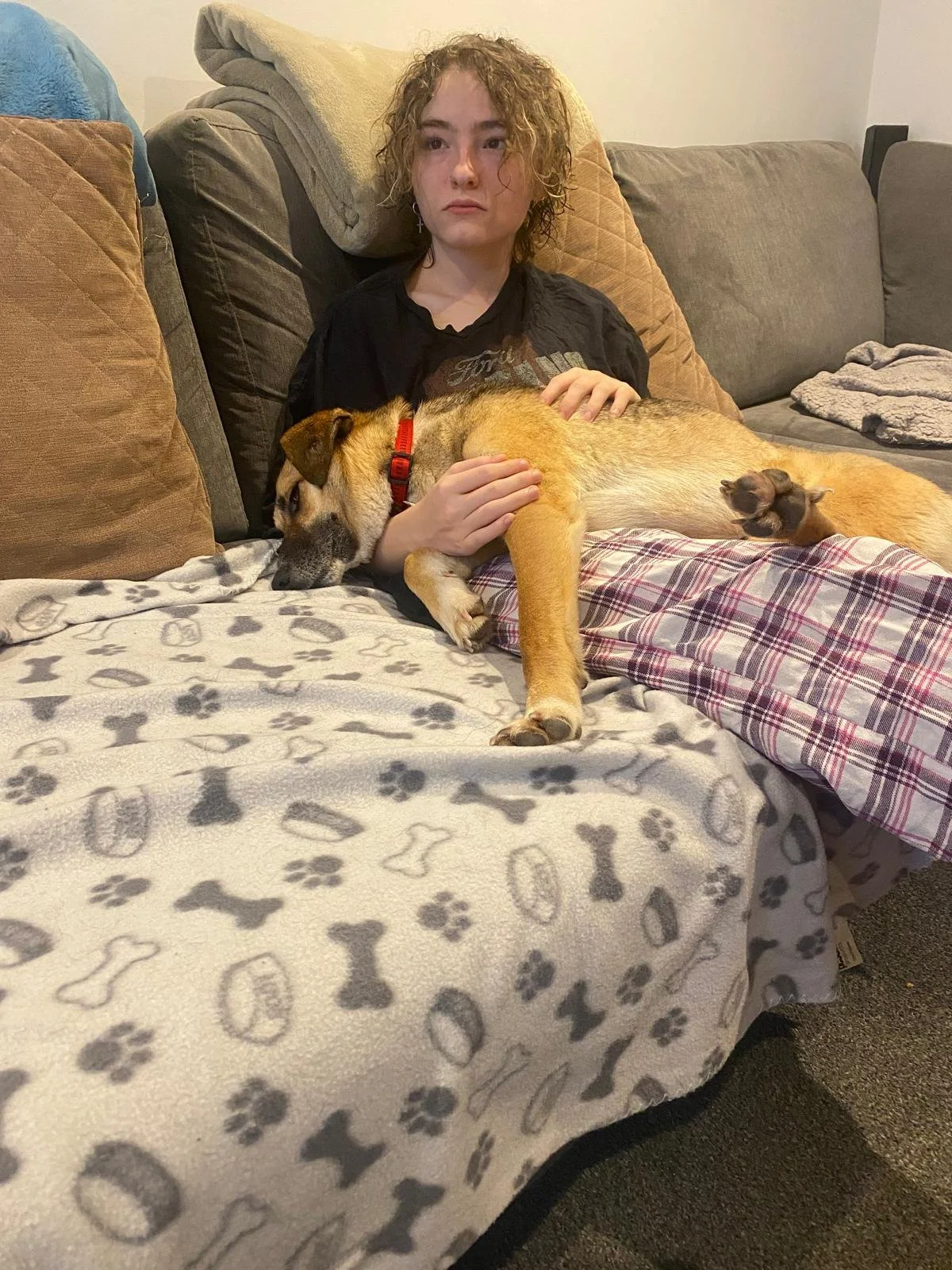 Filo – A Promise Kept. Filo the Rescue Dog – A Promise Finally Kept