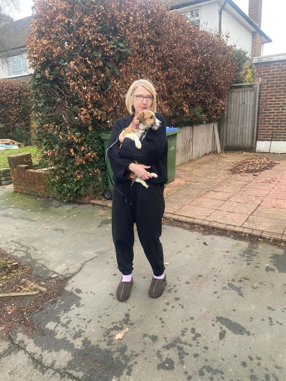 pet-transport-bulgaria