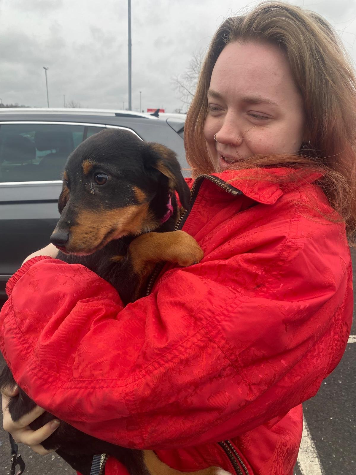 pet-transport-bulgaria