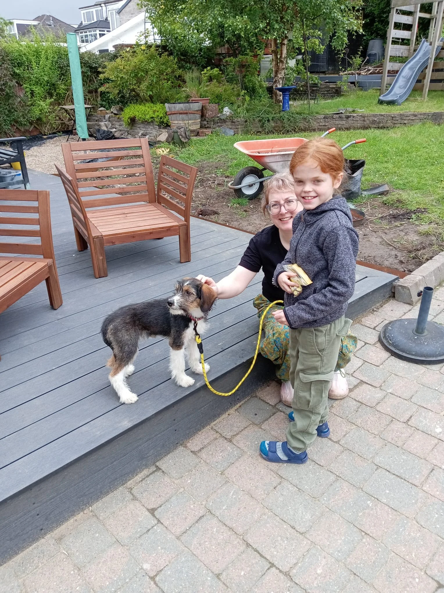 adopt-a-dog-uk