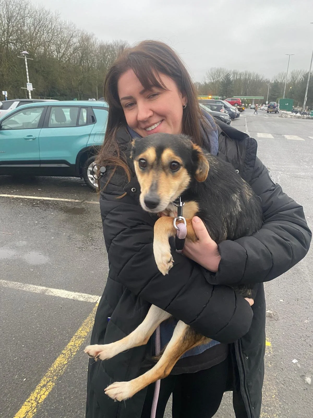 pet-transport-bulgaria-uk