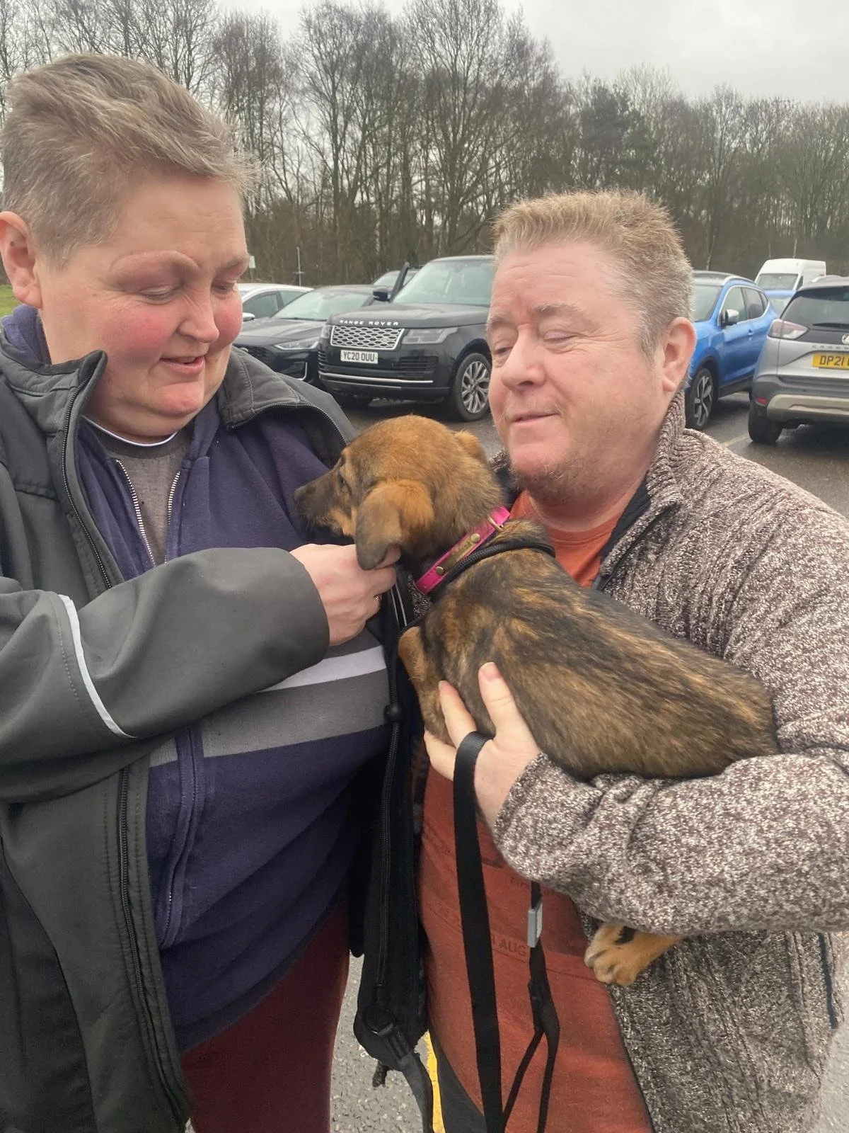 pet-transport-bulgaria-to-uk