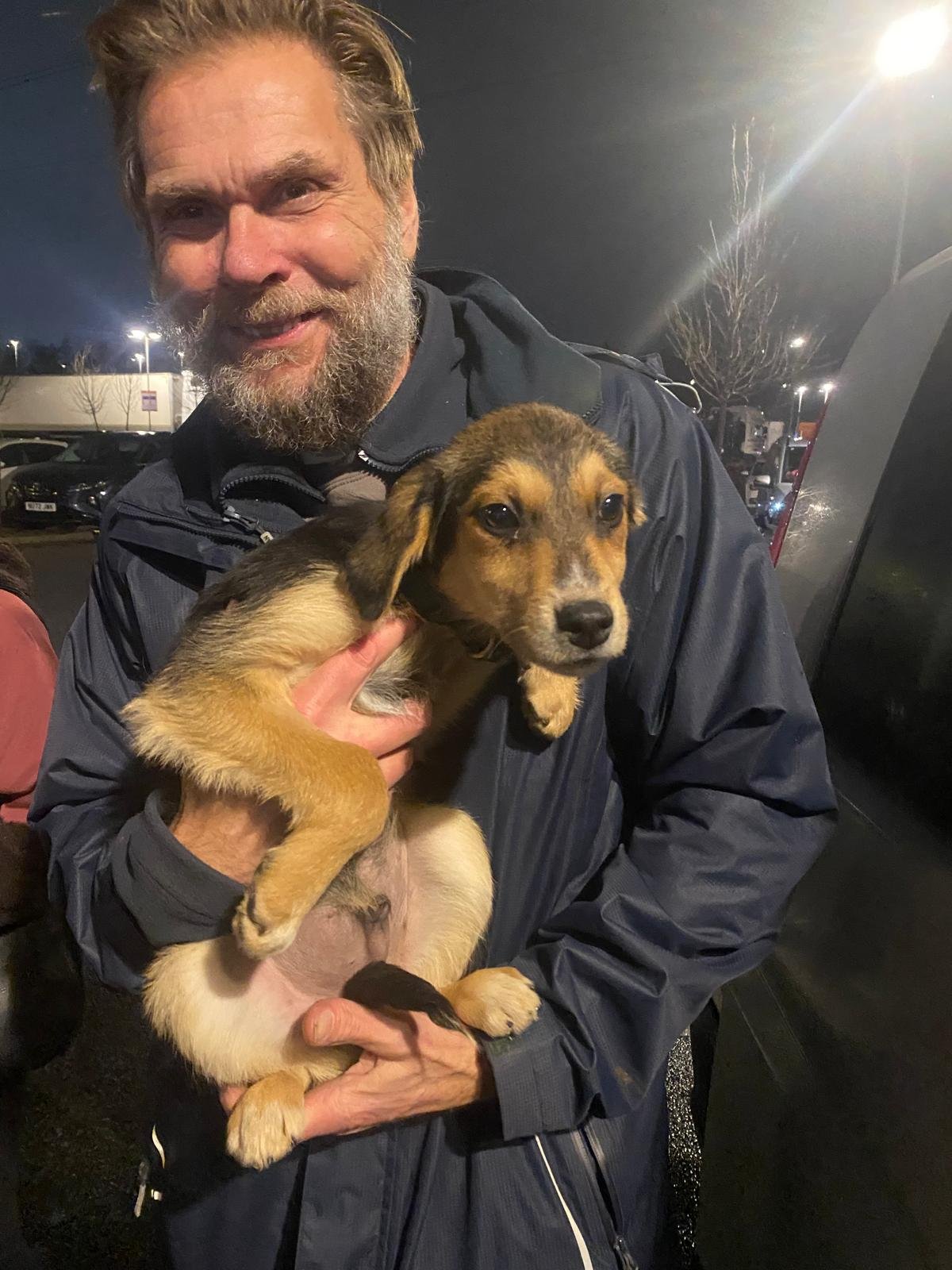 rescue-a-pup-bristol