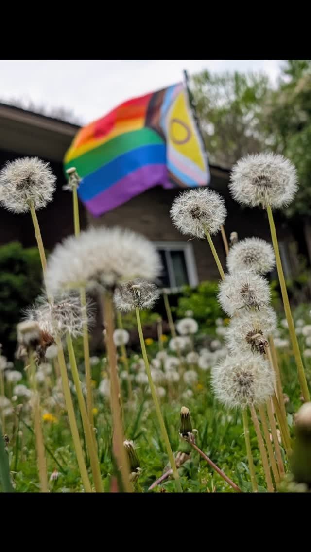 My wish for you is peace, love, and understanding ✌🏻🥰🏳️‍🌈