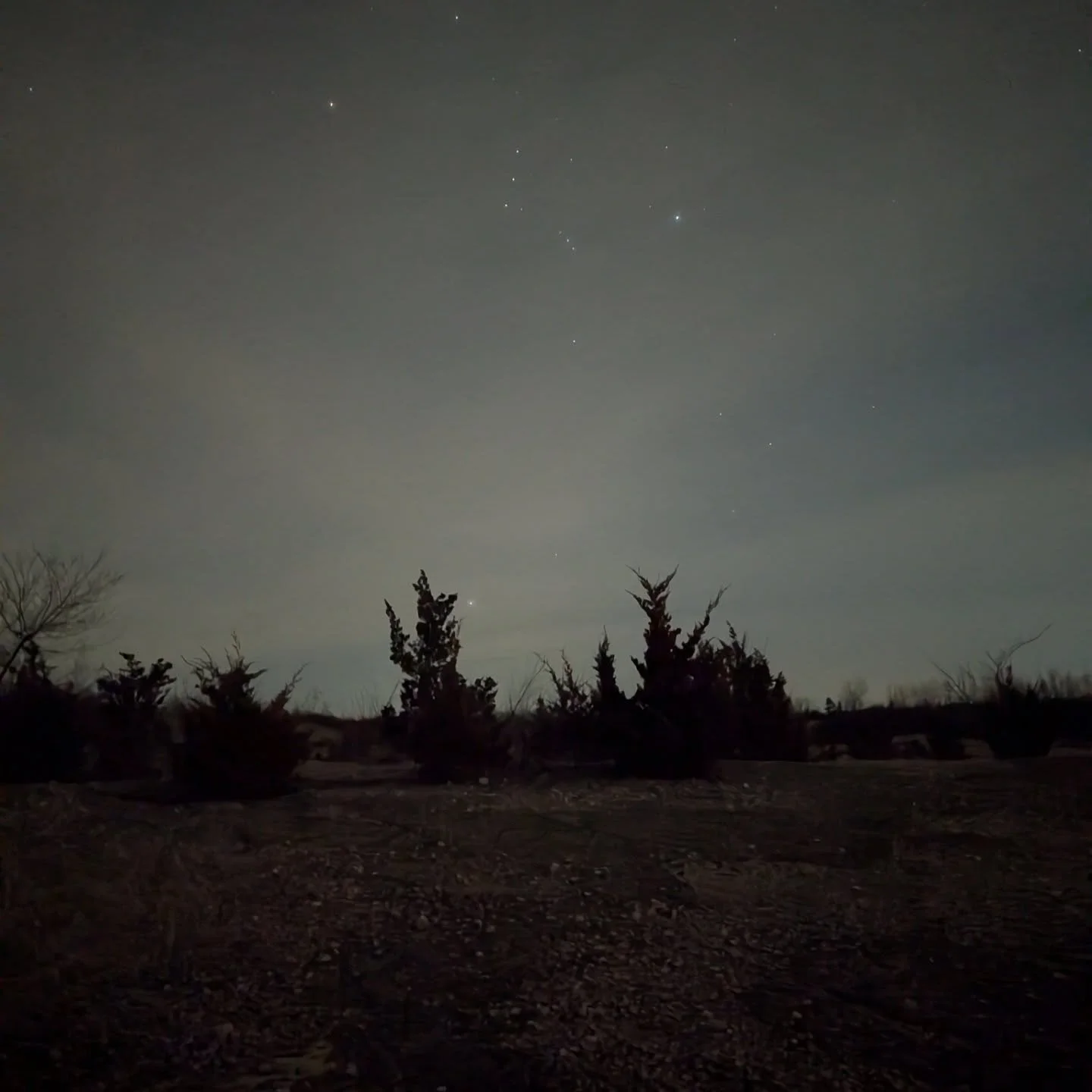The scene is set. I hope the clouds whisping through the air, cold night brain fog, and the technical gear issues didn't cause too much trouble with my images. I'm about to load them up and get this editing party started. Orion, you my friend, are a 