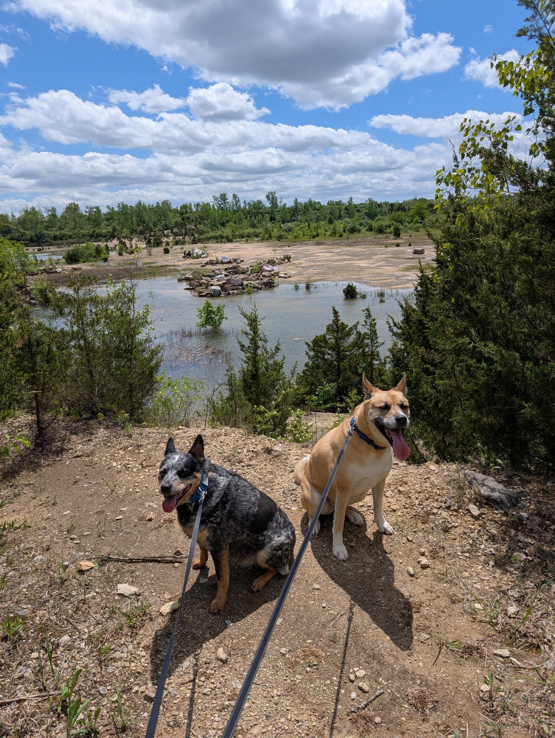 Hiking the dogs at the Quarry Park
