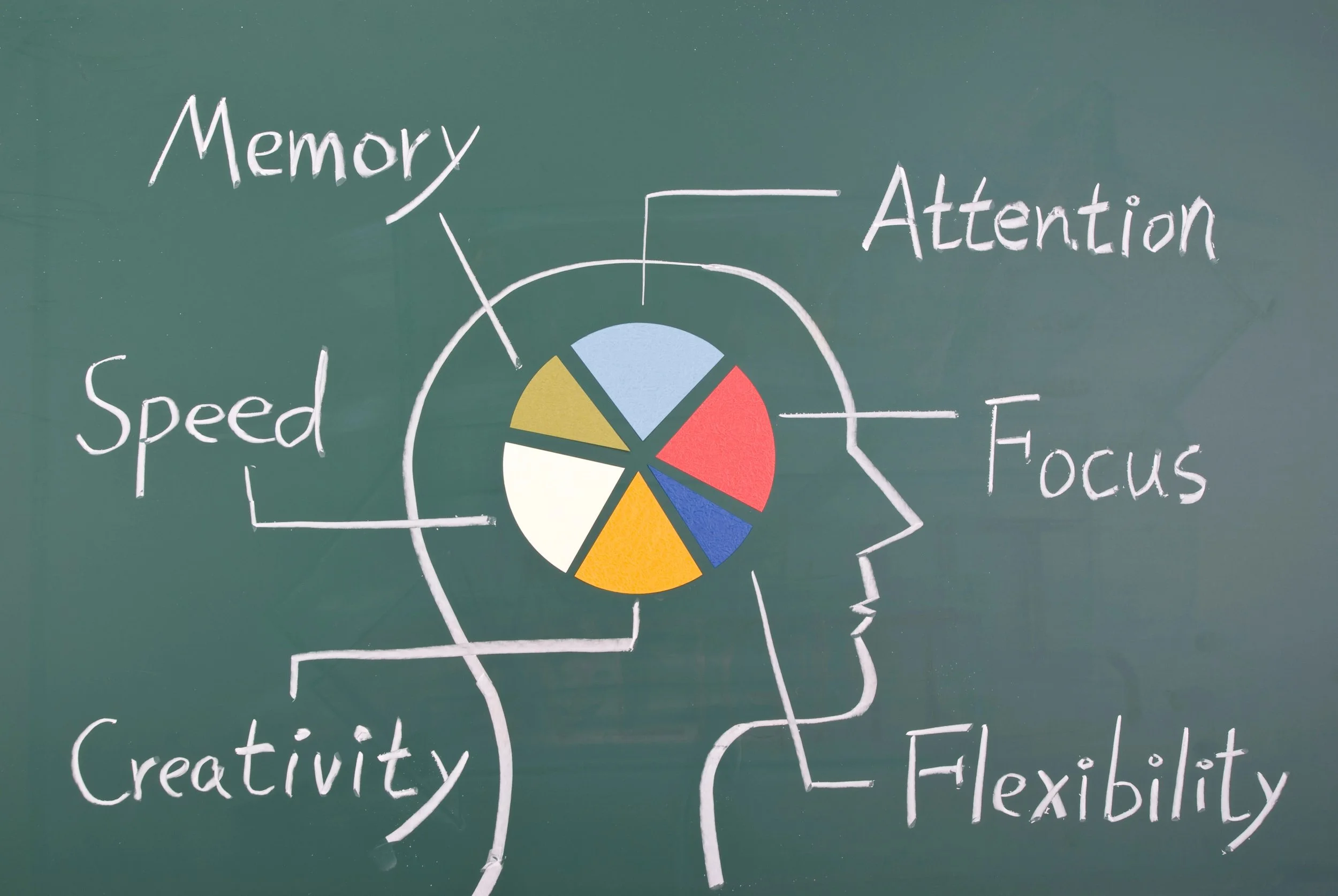 What are Executive Function Skills?