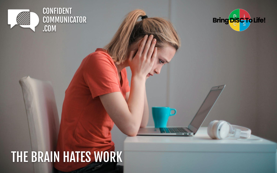 Image by Andrea Piacquadio from Pexels