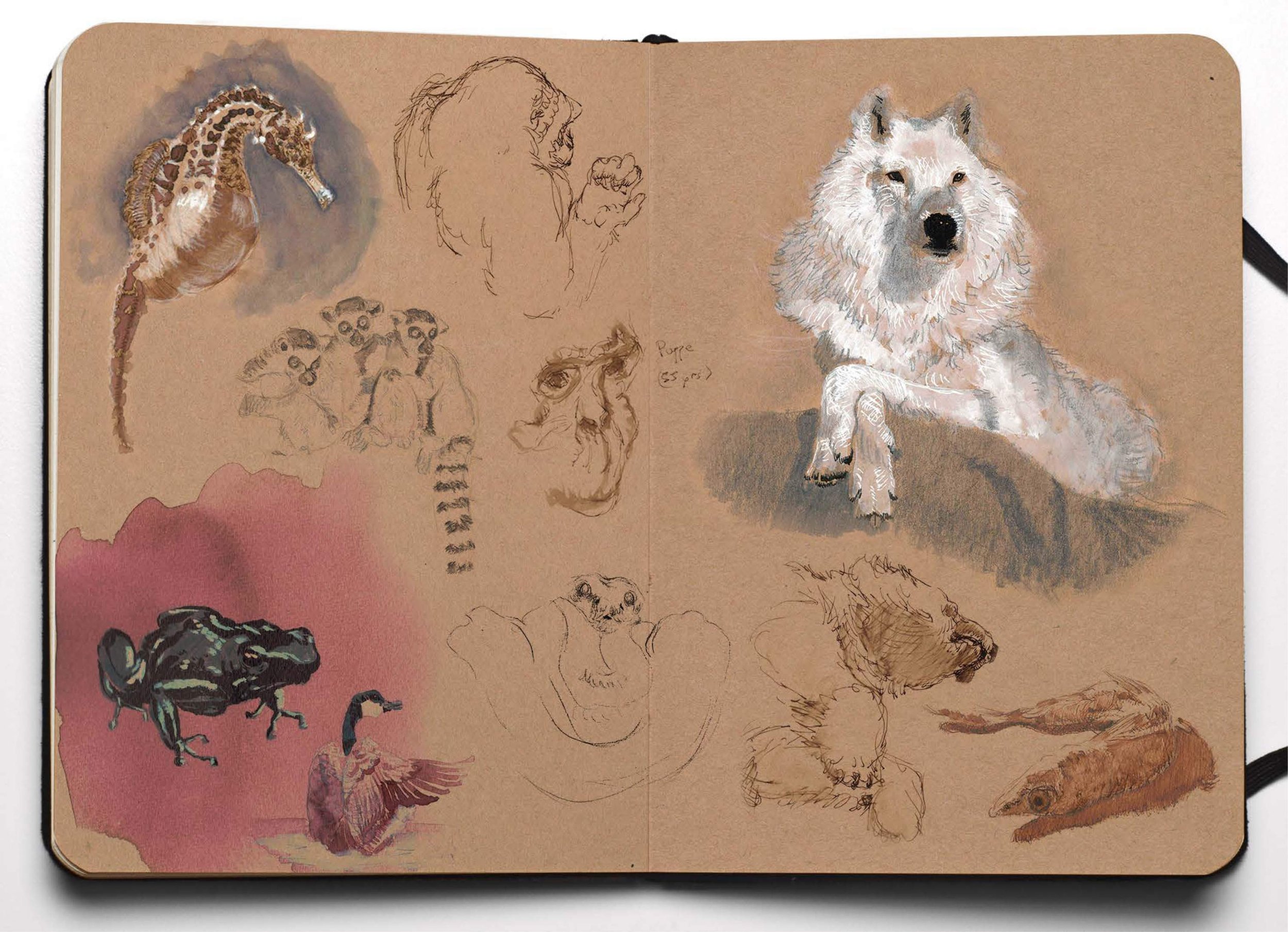 Juan - Sketchbook for Animation Portfolio.jpg