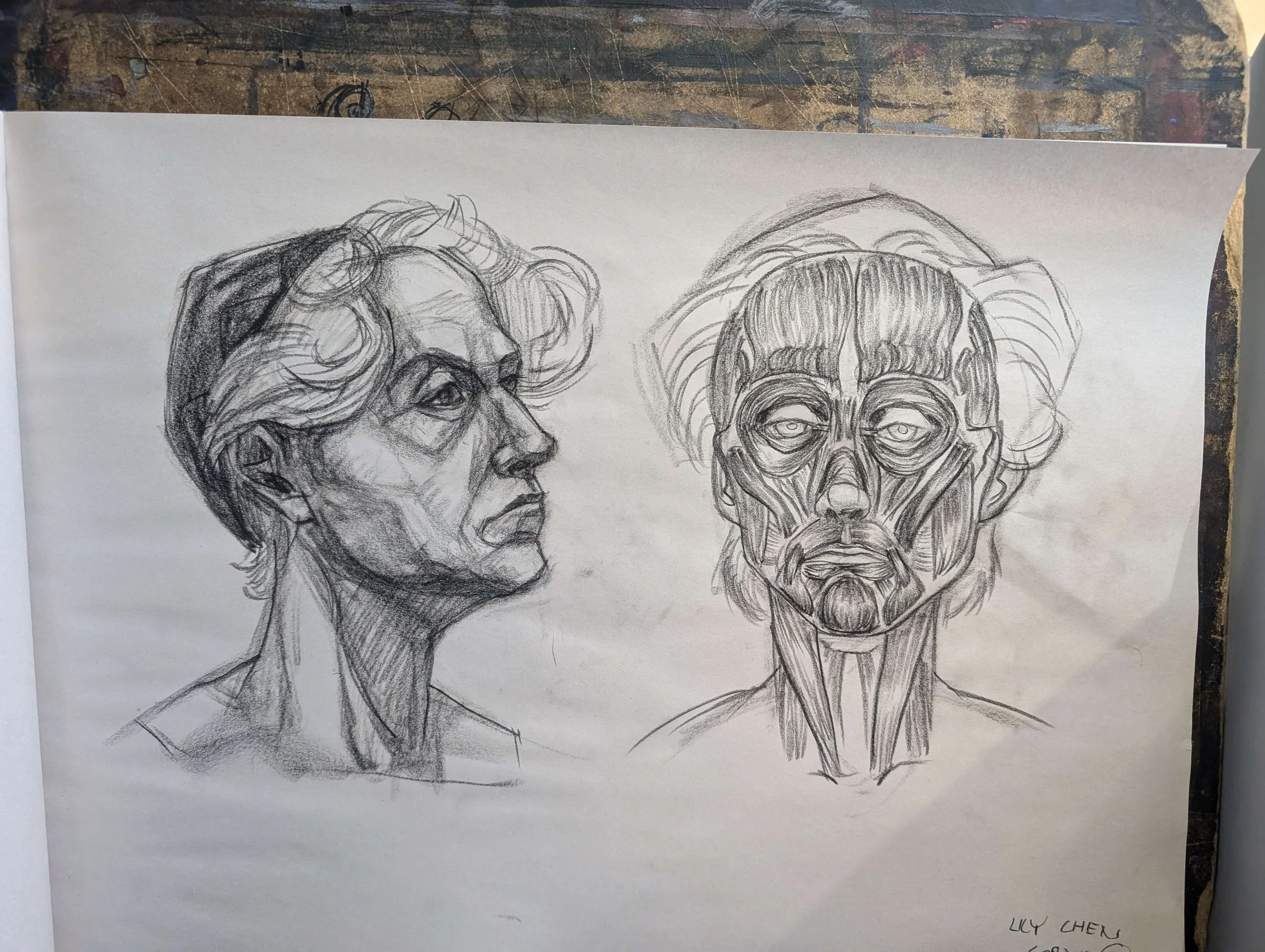 Lily - portraits and face muscles.jpg