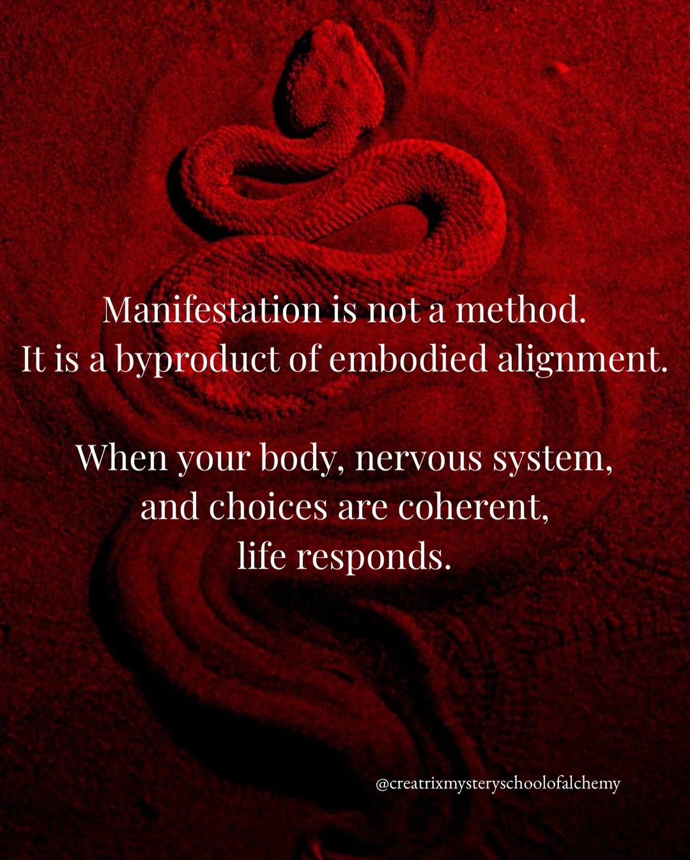 What you experience in your life
is a reflection of what your body can hold,
not what your mind desires.

I&rsquo;ve written a free foundational text for women ready to come home to themselves.

Link in bio🌹