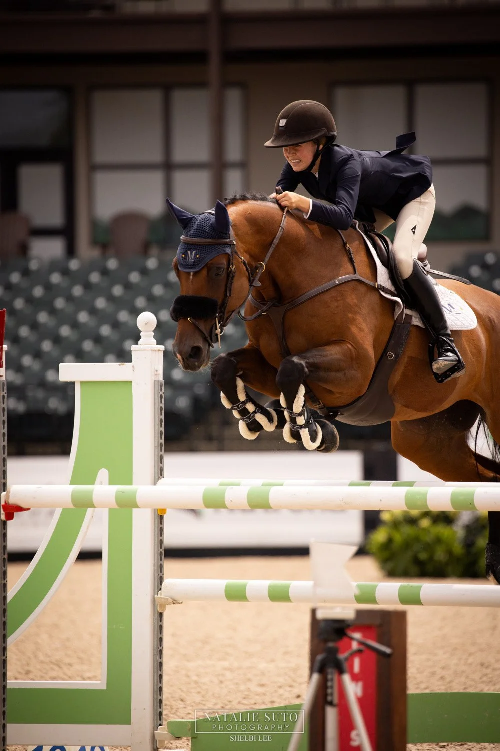 A female equestrian wearing a black helmet and navy blazer guides a bay horse with a blue ear bonnet over a green and white show jumping obstacle inside an indoor arena.