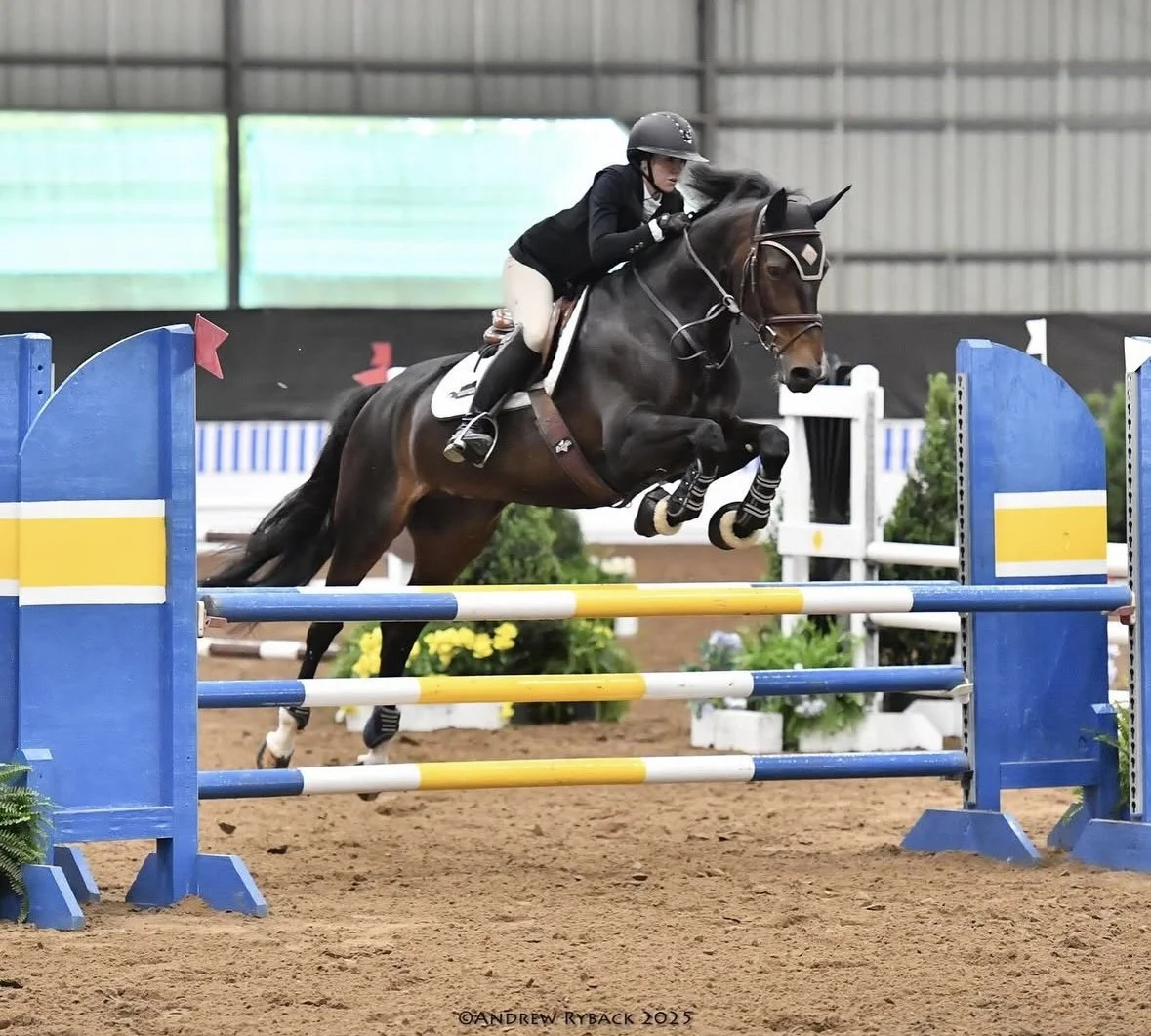 A rider and horse jumping over a colorful obstacle during an indoor equestrian show.