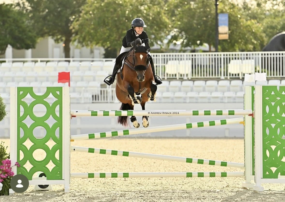 Jockey riding a brown horse jumping over a green and white obstacle during a horse show.