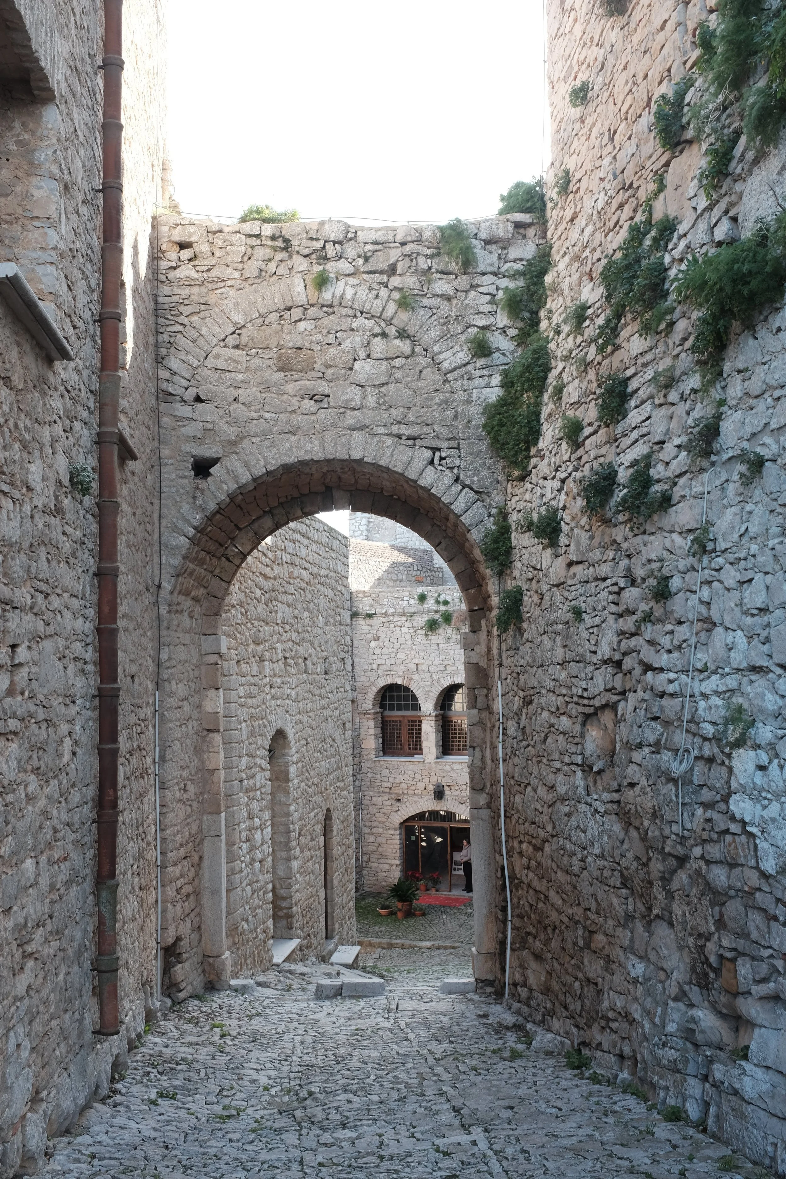 DSCF1137.jpg