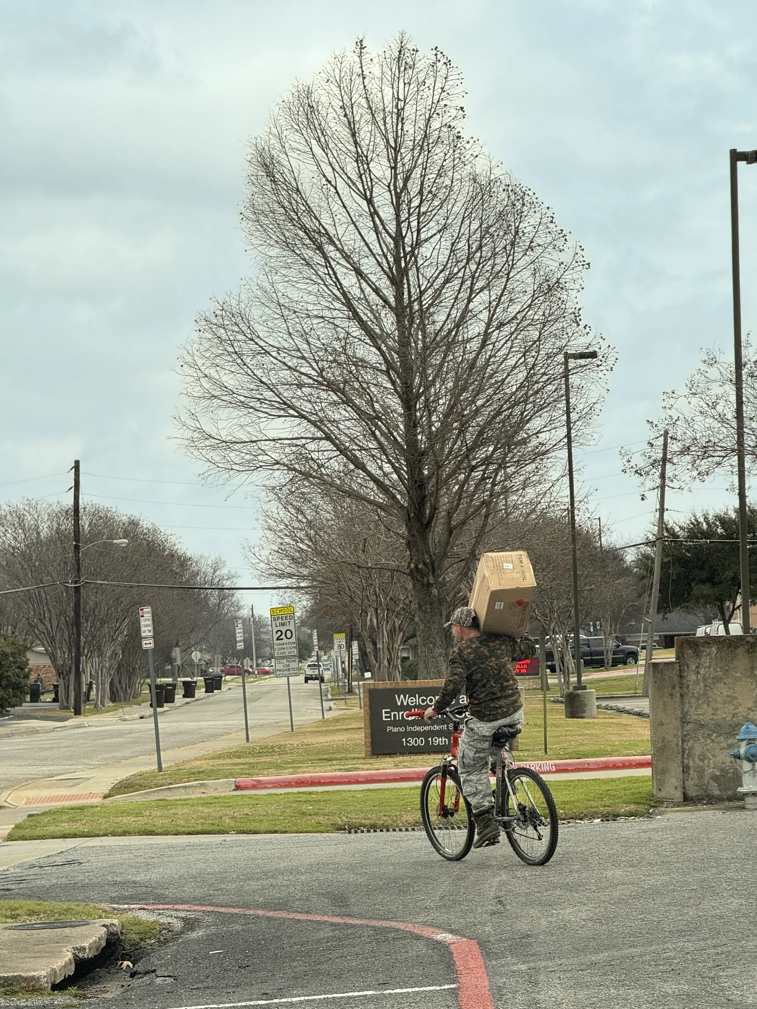 A man riding a bicycle on a street, carrying a large cardboard box on his shoulder. The street is lined with leafless trees, utility poles, and signs, with a cloudy sky overhead.
