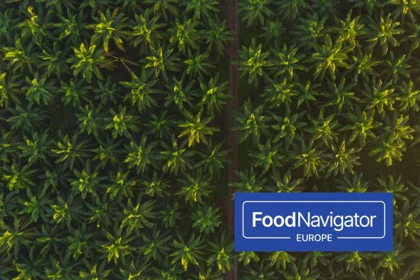 The race to replace palm oil: Who’s ahead?