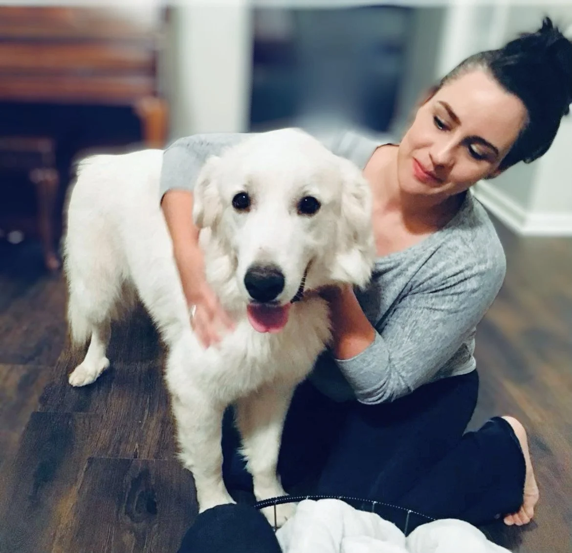 JustLikeFamily Pet Sitting