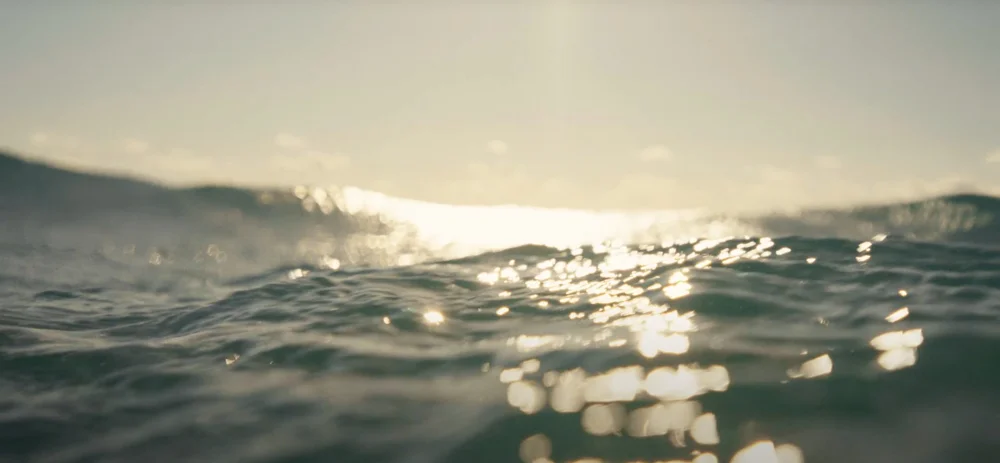 Sharps “The Original Surfers”, Tim Boydell DOP