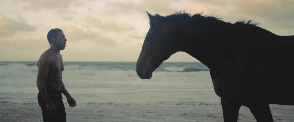 Man and horse on a beach at sunset, documentary DOP Tim Boydell