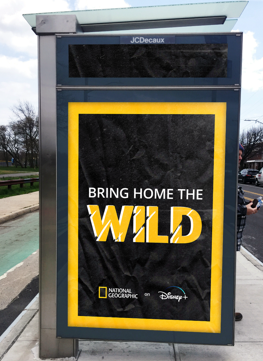 Screenshot 2024-09-12 at 10.20.02 AM.png