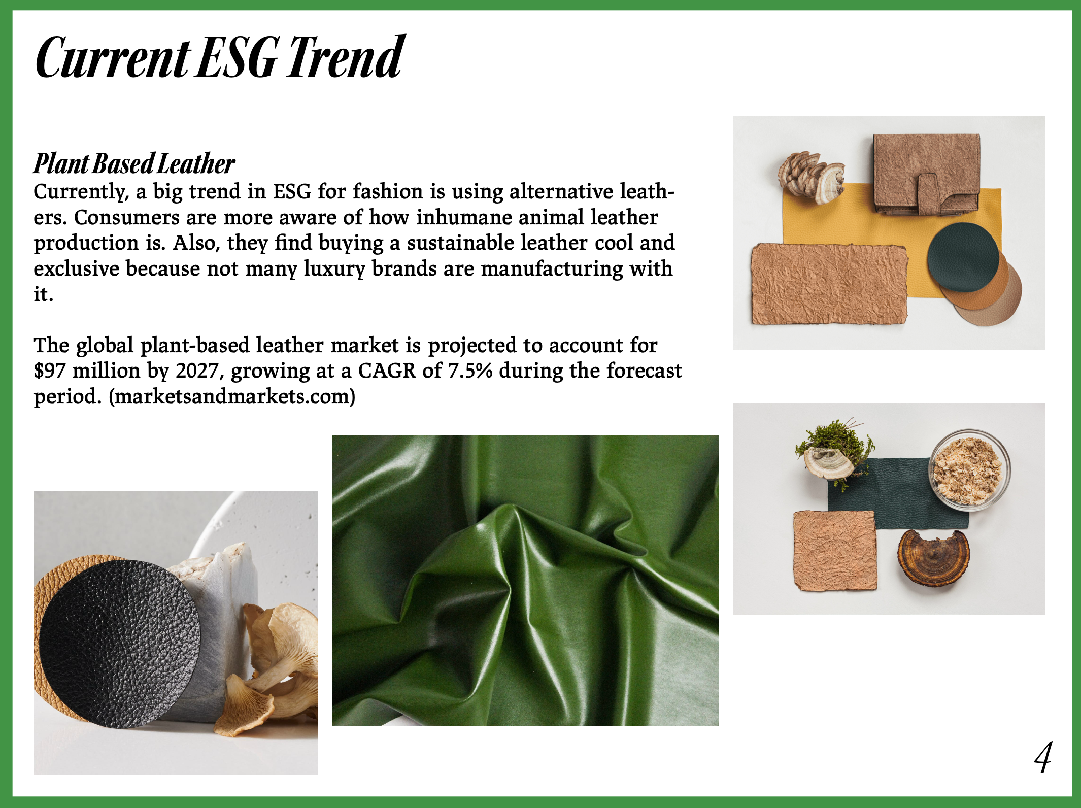 Screenshot 2024-09-12 at 11.42.06 AM.png