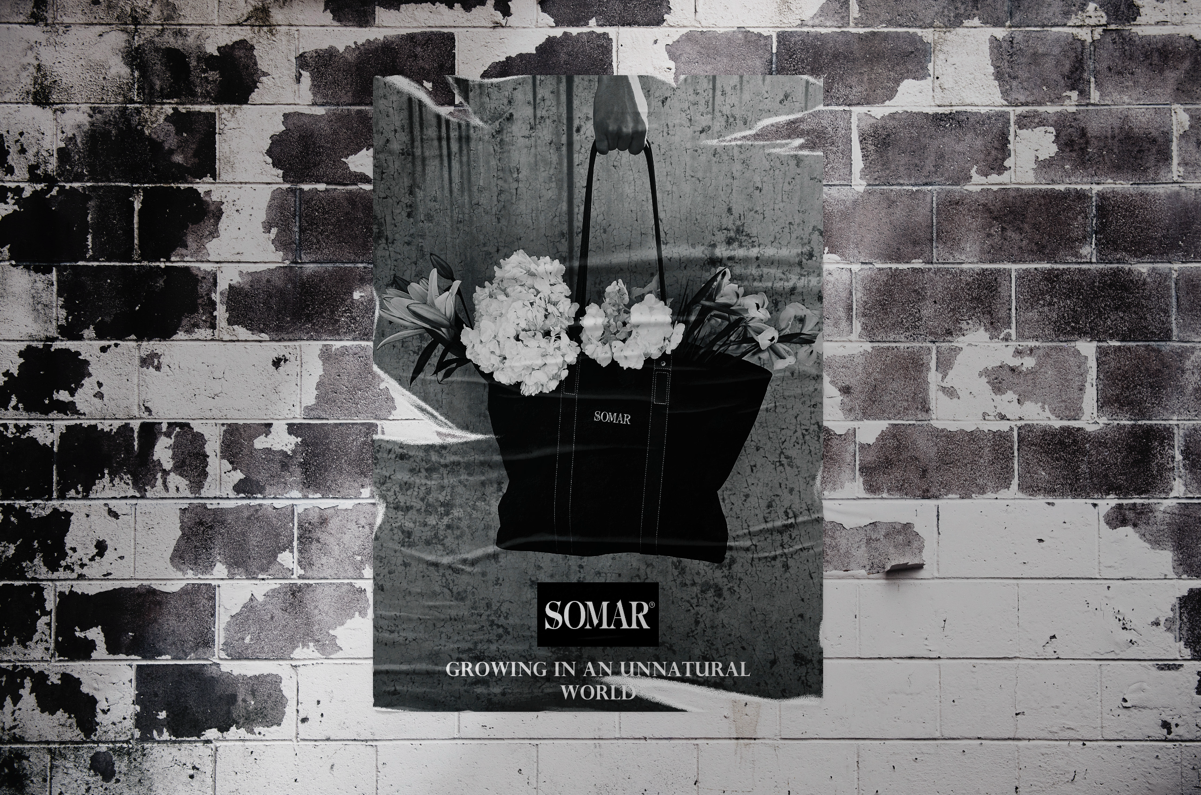 Screenshot 2024-09-12 at 10.31.38 AM.png