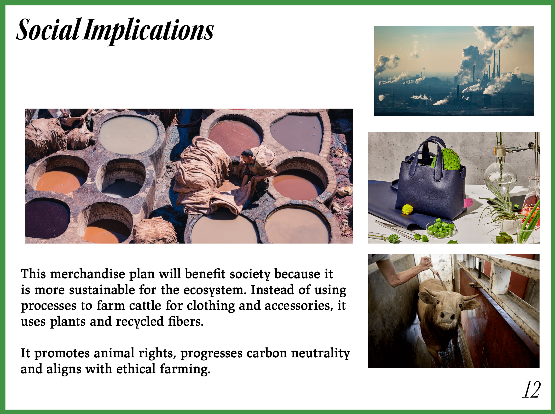 Screenshot 2024-09-12 at 11.43.31 AM.png