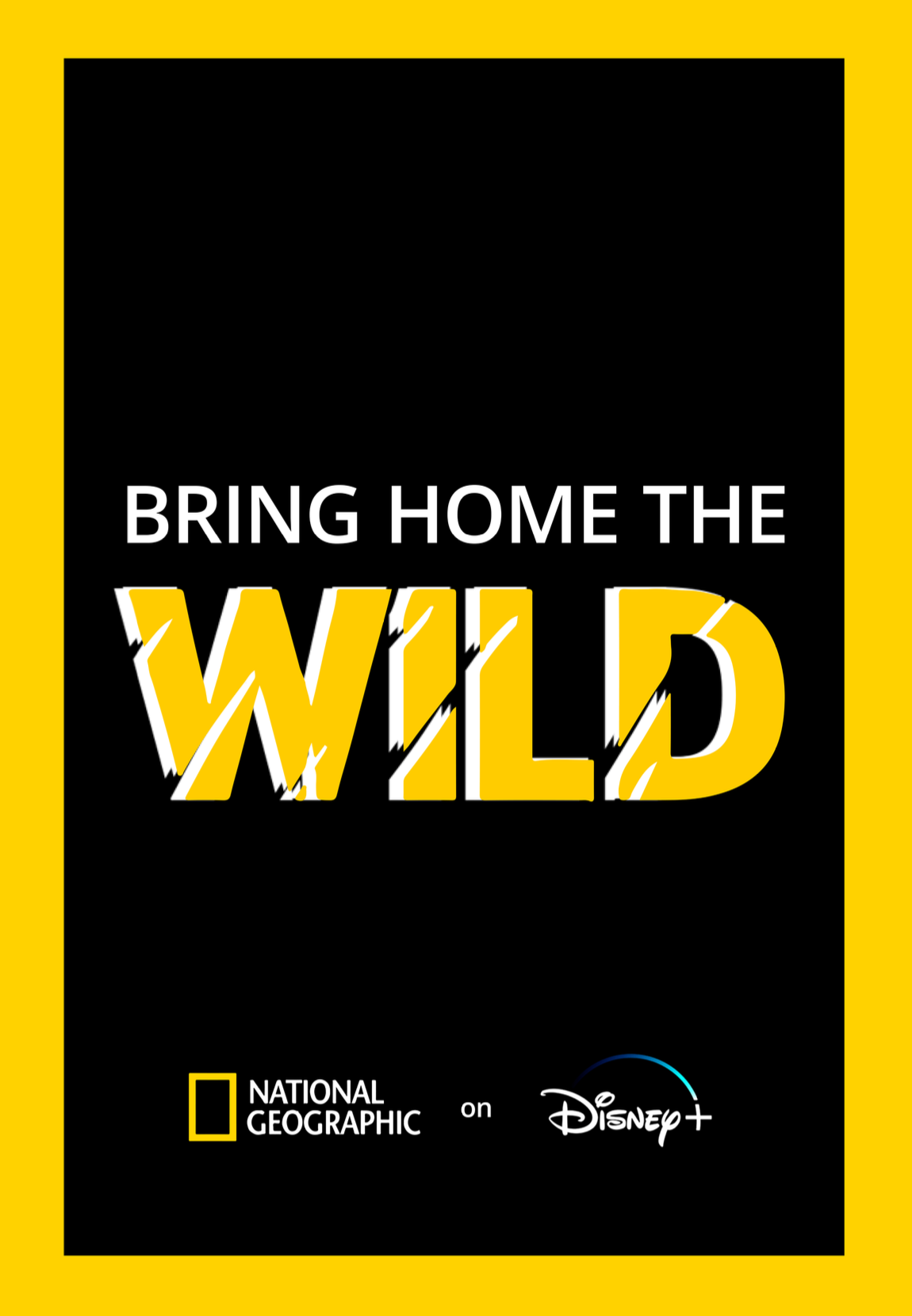 Screenshot 2024-09-12 at 10.19.51 AM.png