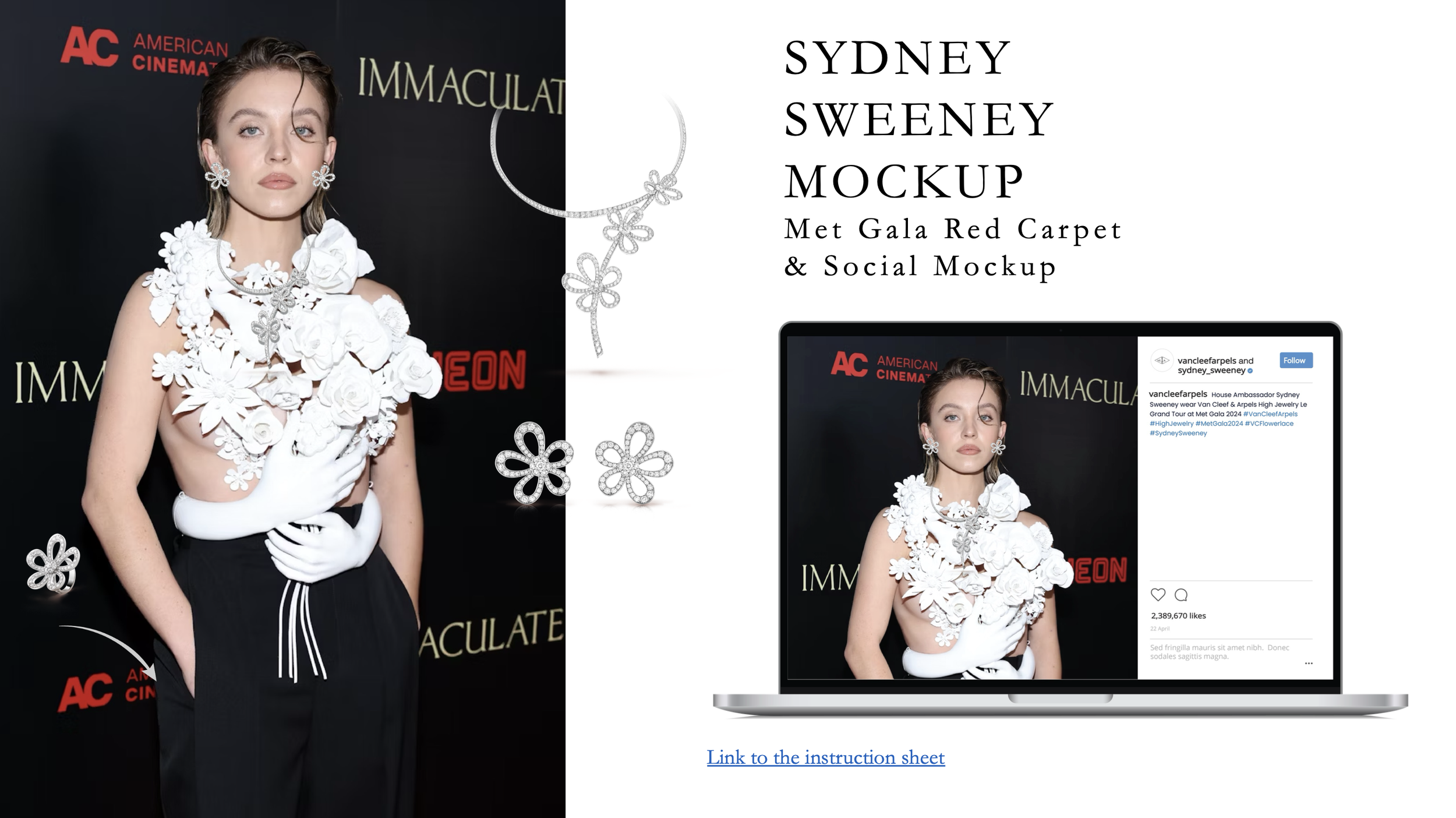 Screenshot 2024-09-12 at 10.53.50 AM.png