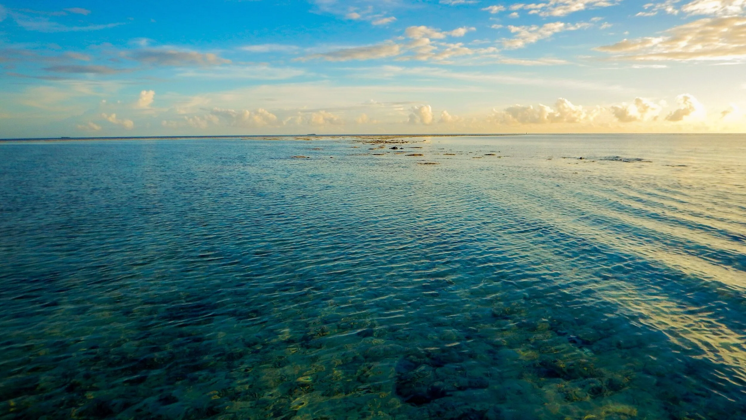 Learning to Embrace Our Limitations