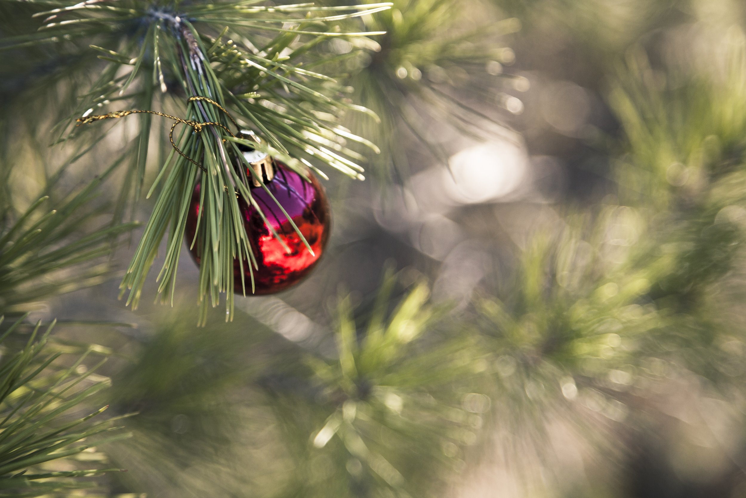 Why I changed my mind and celebrate Christmas